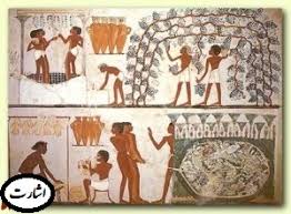 تاریخ طب در مصر باستان تاریخ طب