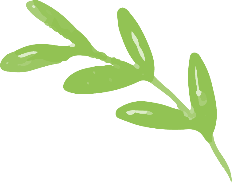 leaves-free-img.png