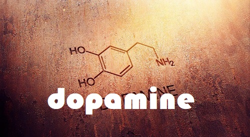 دوپامین چیست ؟ هرچه باید درباره دوپامین بدانید آناتومی مغز و سر انسان
